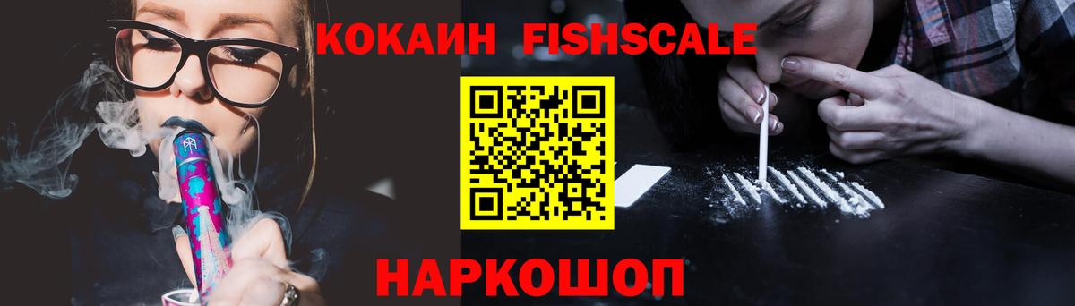 Каменка  КОКАИН  Вход с VPN  Cocaine Fish Scale 