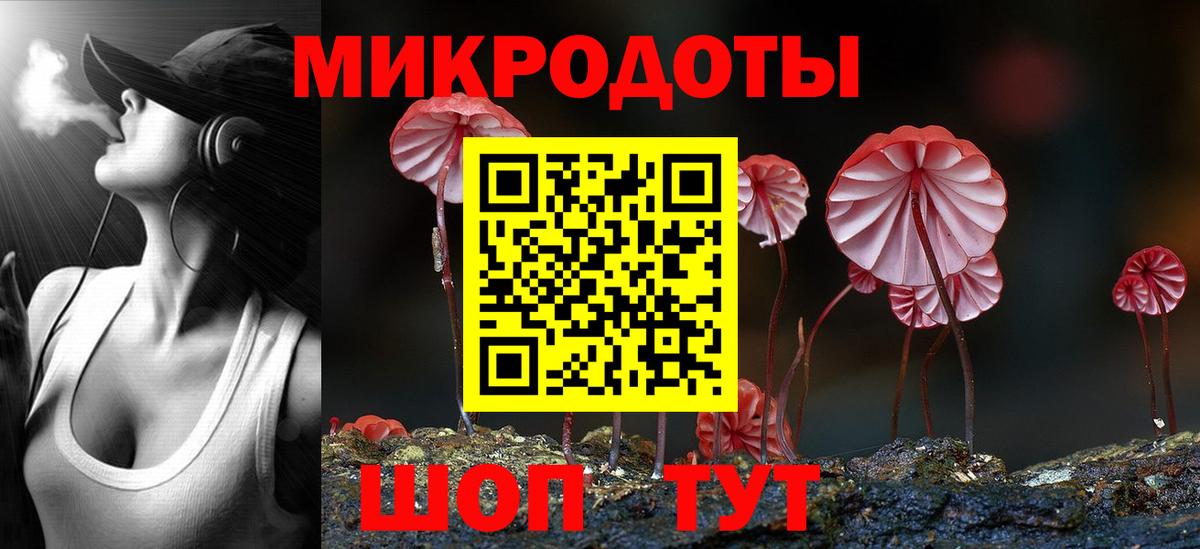 Псилоцибиновые грибы GOLDEN TEACHER  купить наркоту  Вход с VPN  Каменка  Псилоцибиновые грибы Psilocybine cubensis 