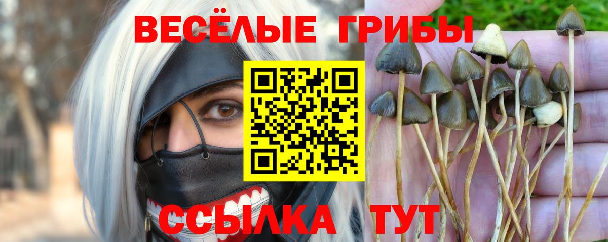 Псилоцибиновые грибы мухоморы Каменка
